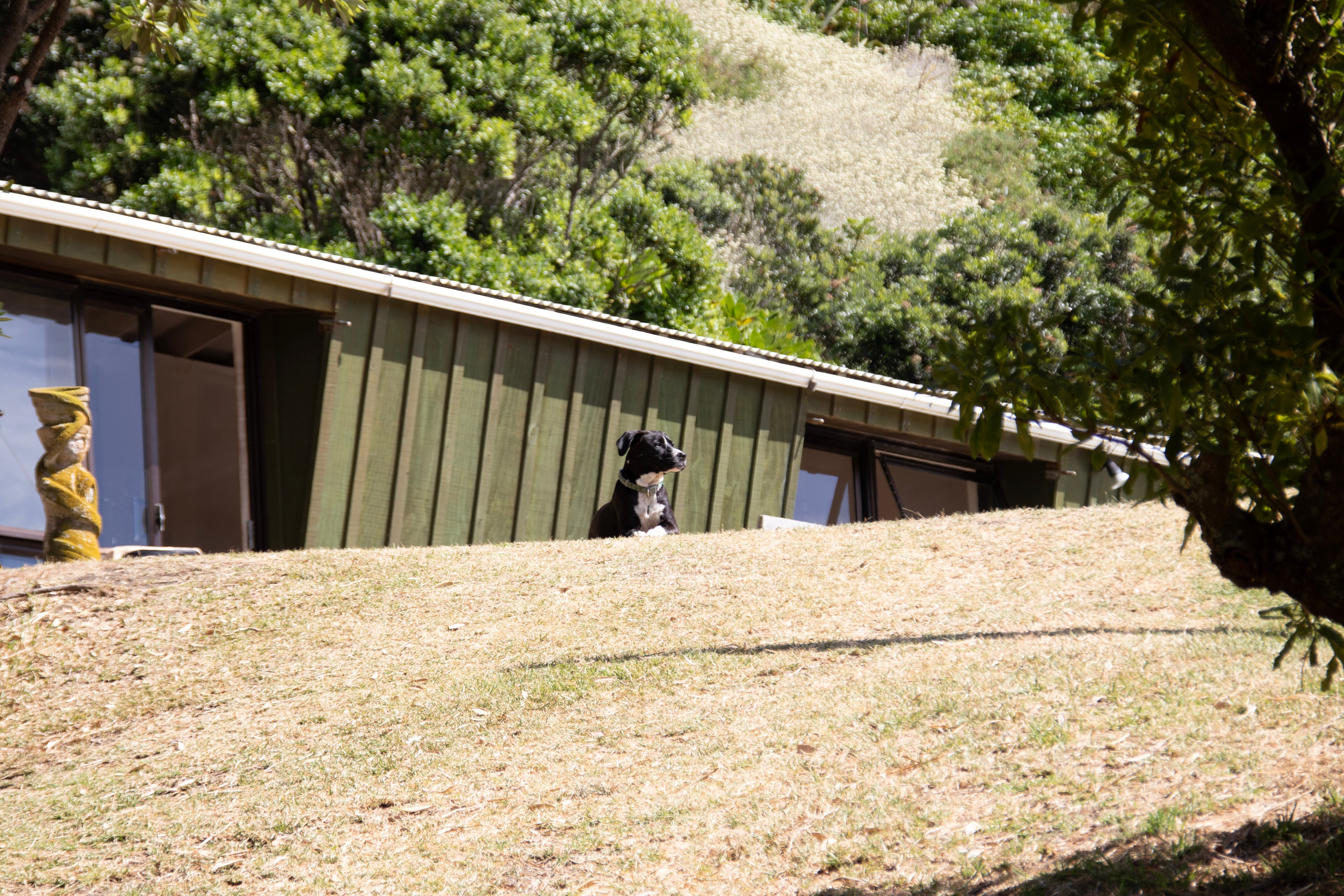 26-_MG_2548.jpg__PID:880010de-0325-4c0d-898f-407268371cb1